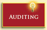 Auditing Nonprofit Entities Cover Image